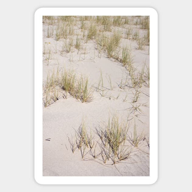 Beach Erosion Sticker by sma1050